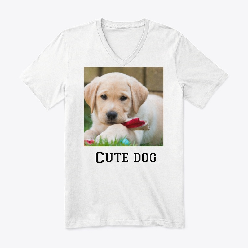 Cute dog
