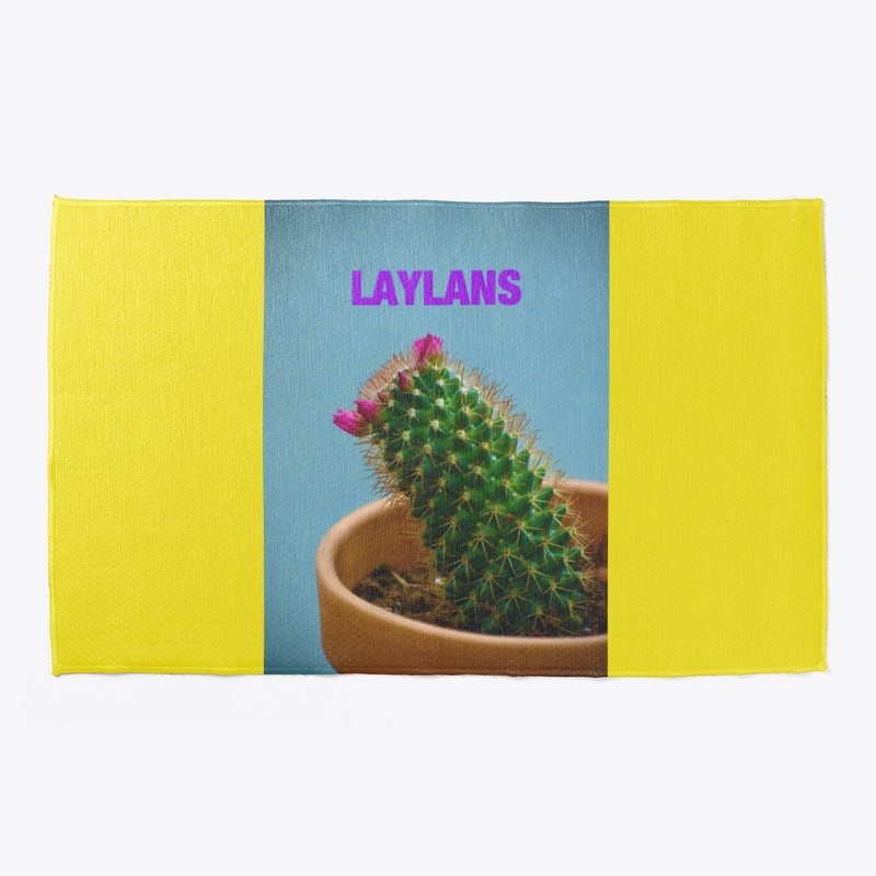 Old Lady Cactus