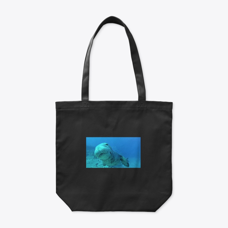 Monks of the sea