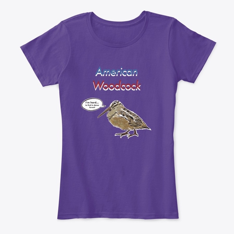 American Woodcock