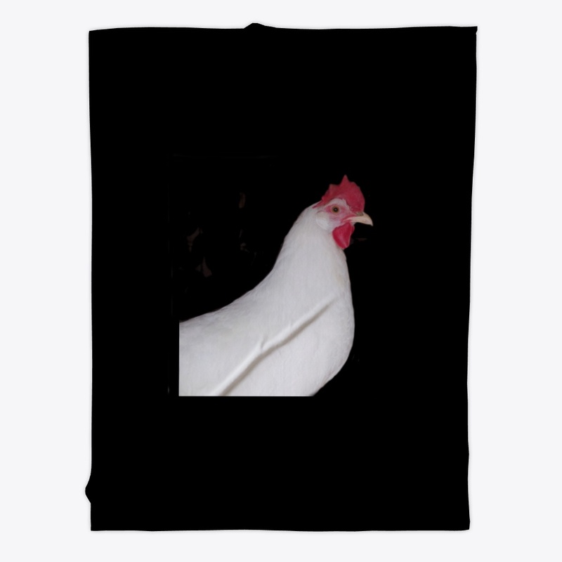 white leghorn hen chicken farm animal