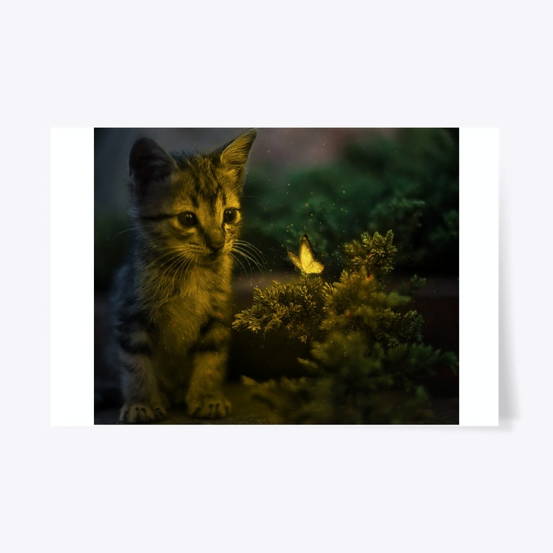 Cute cat