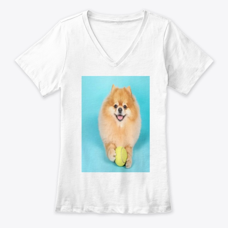 cute dog