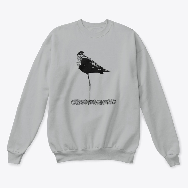 Black-necked Stilt