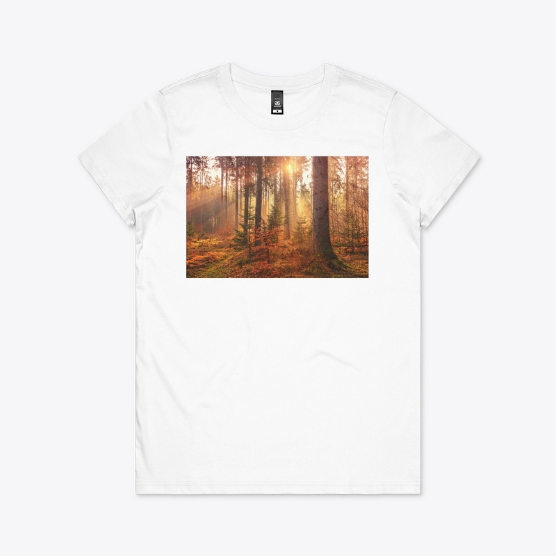 Value12 Sunshine in the forest