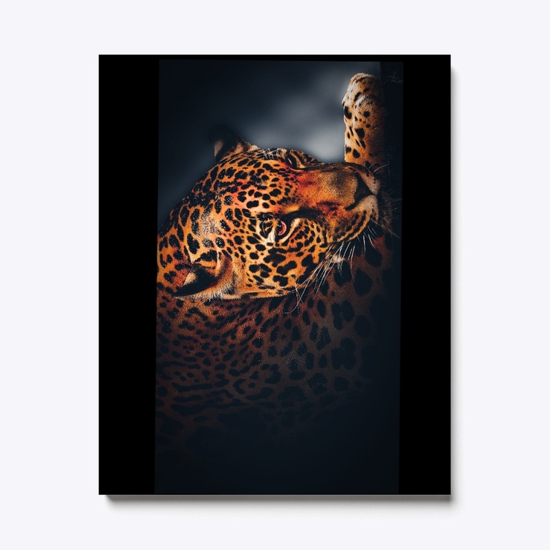 tiger printed