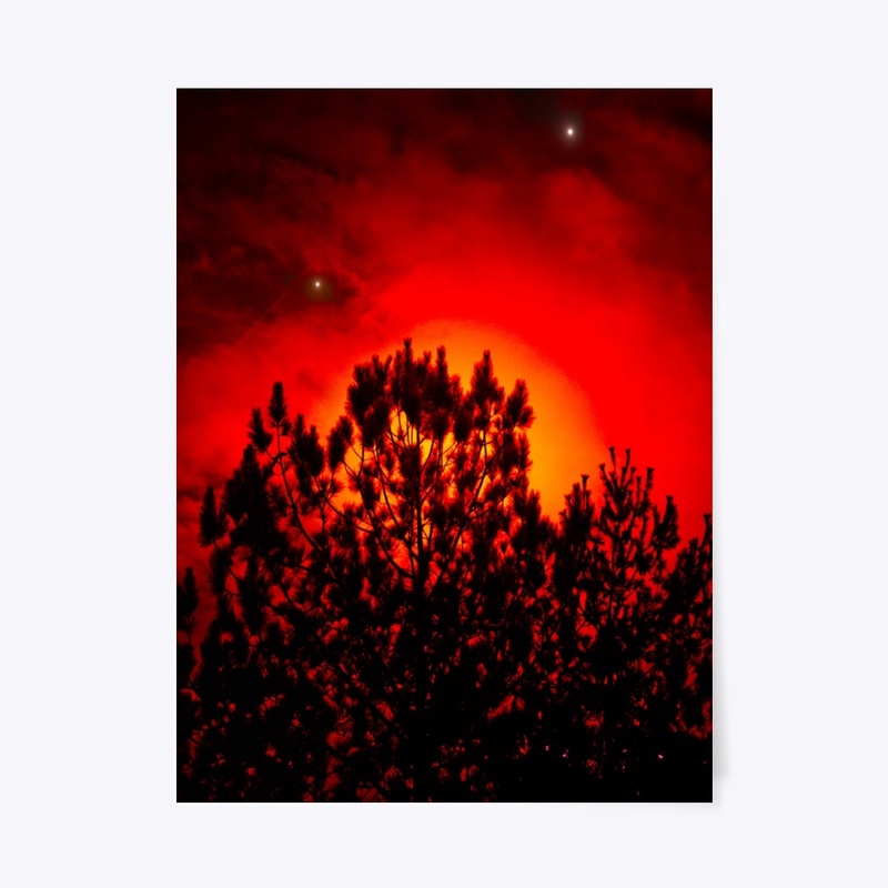 red moon behind trees 