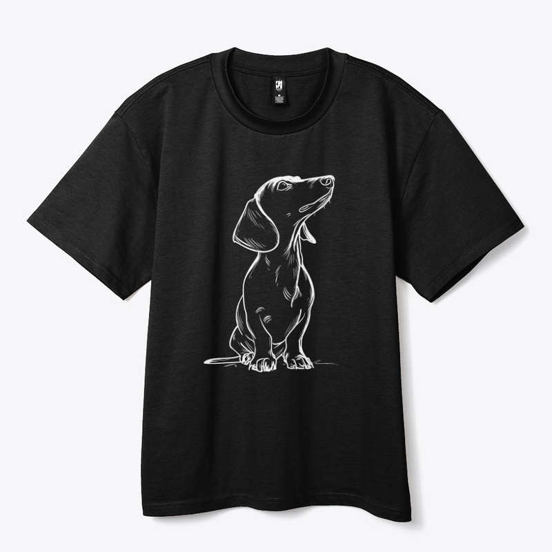 Minimal Dachshund Doodle