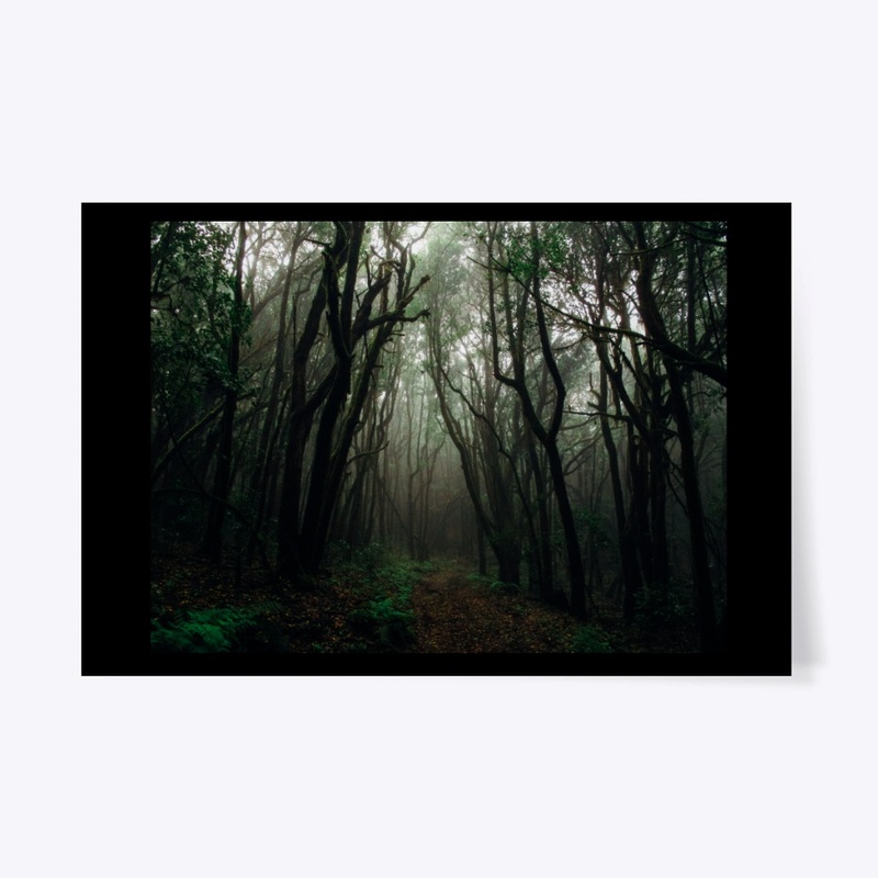 Rainforest Pathway