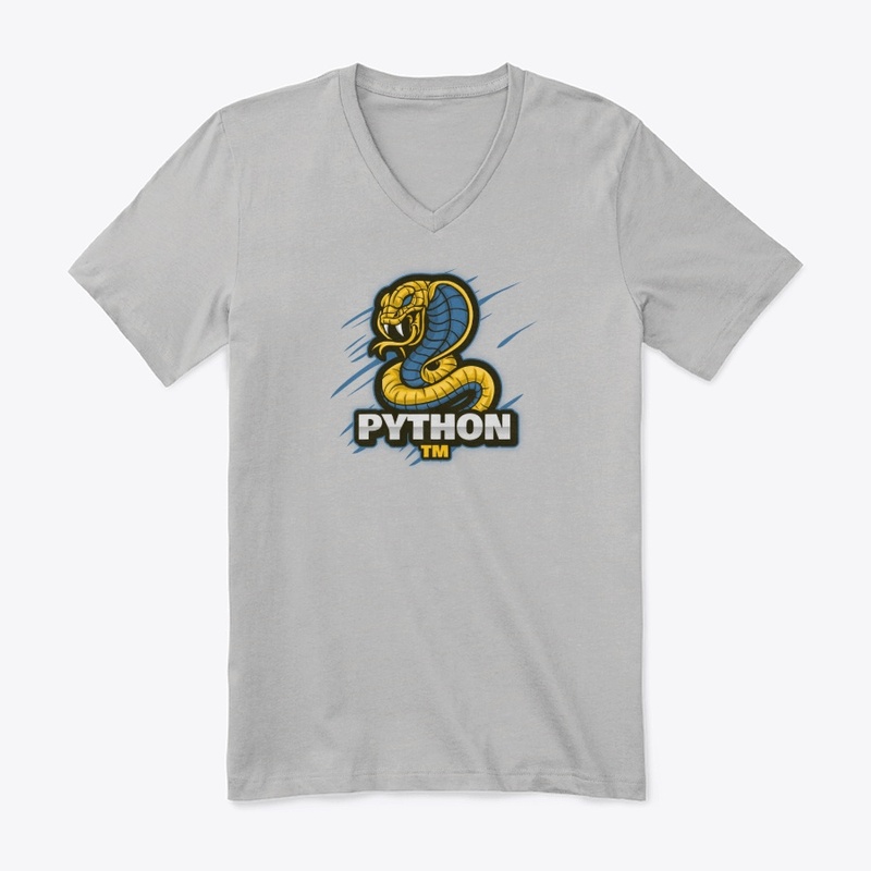 Python 