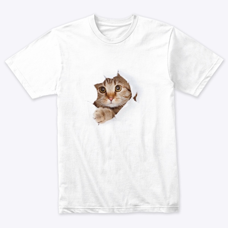 Kitty Surprise