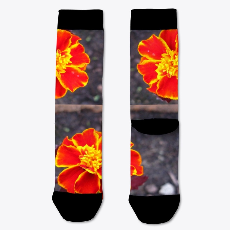   orange yellow and red marigold flowers