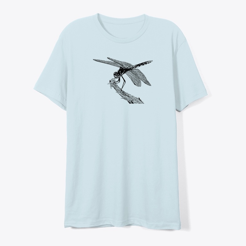 Perched Dragonfly