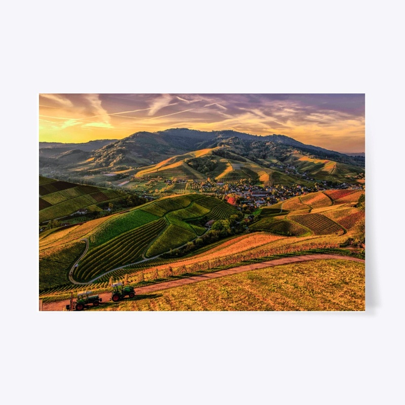 Nature Poster