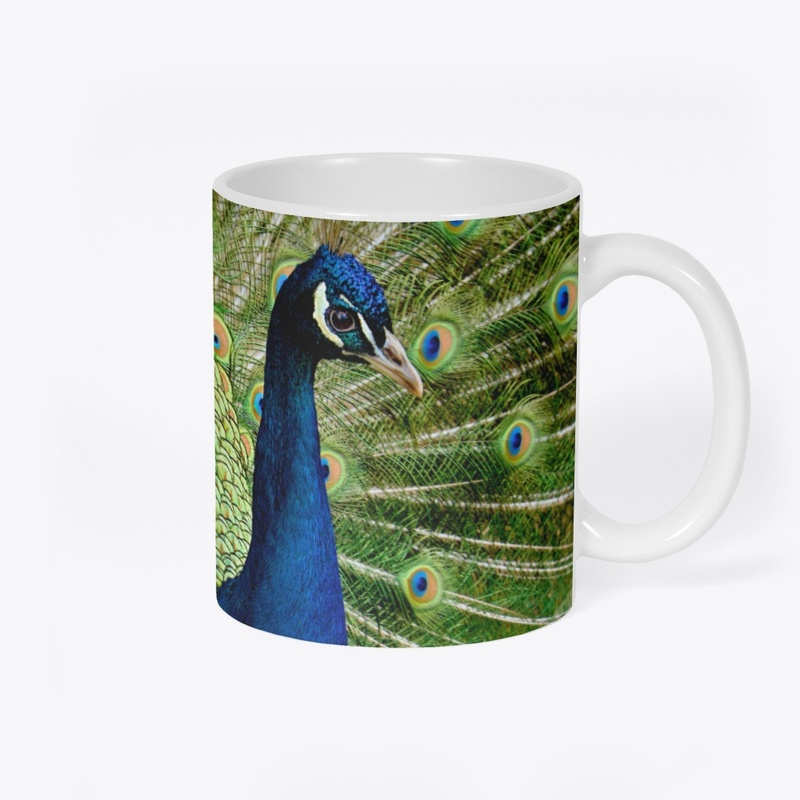 Peacock Feather Blue Green Bird Wildlife