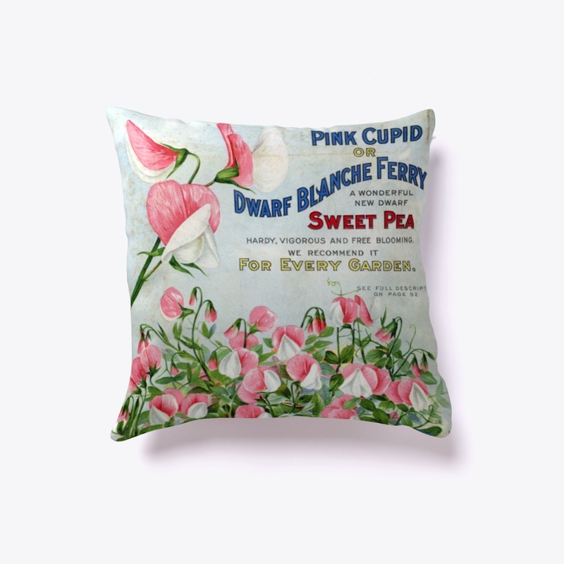 Pink Cupid Sweet Peas 