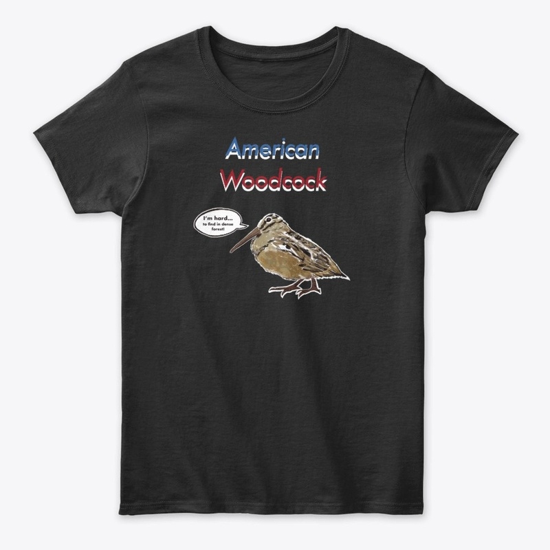 American Woodcock