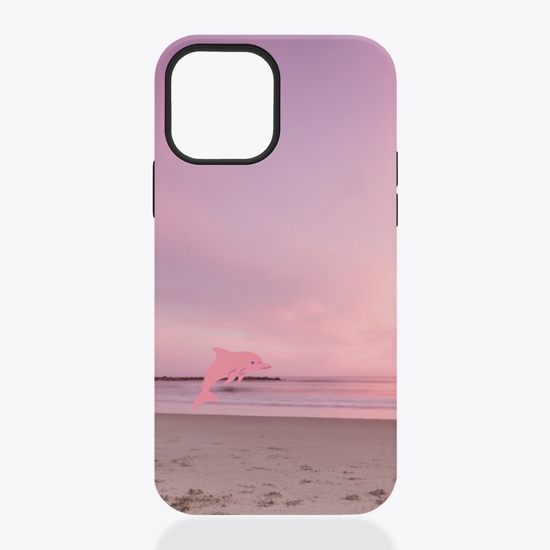 dolphin in the sunset