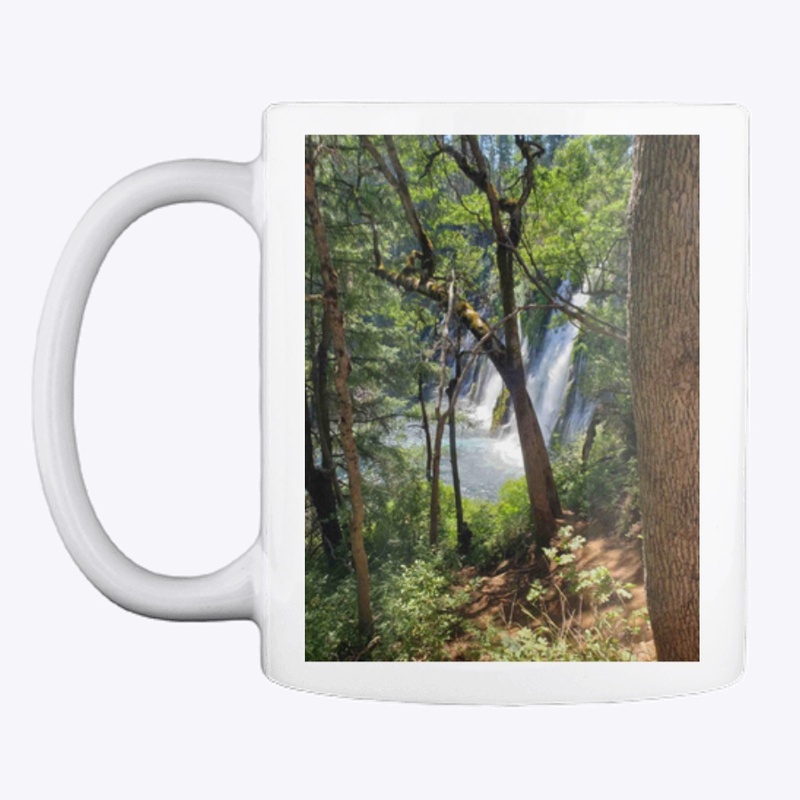 Forest Waterfall scene
