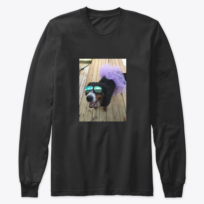 Bernese Mountain Dog 