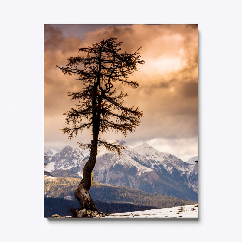 Autumn tree in the Alps