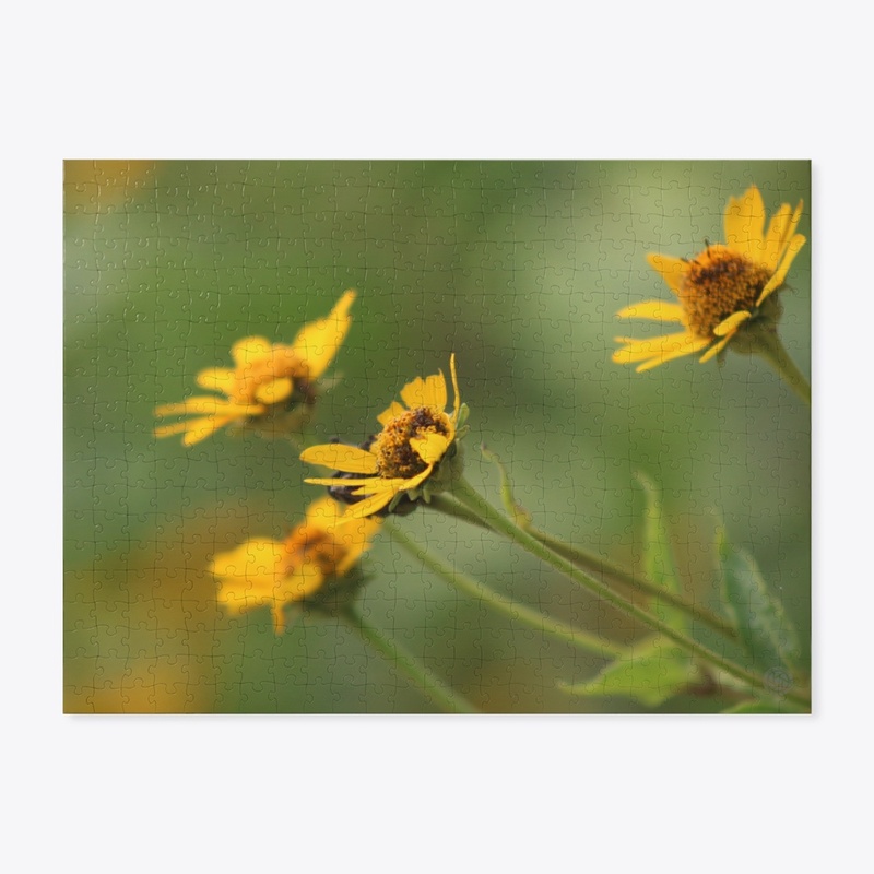Flowers 1