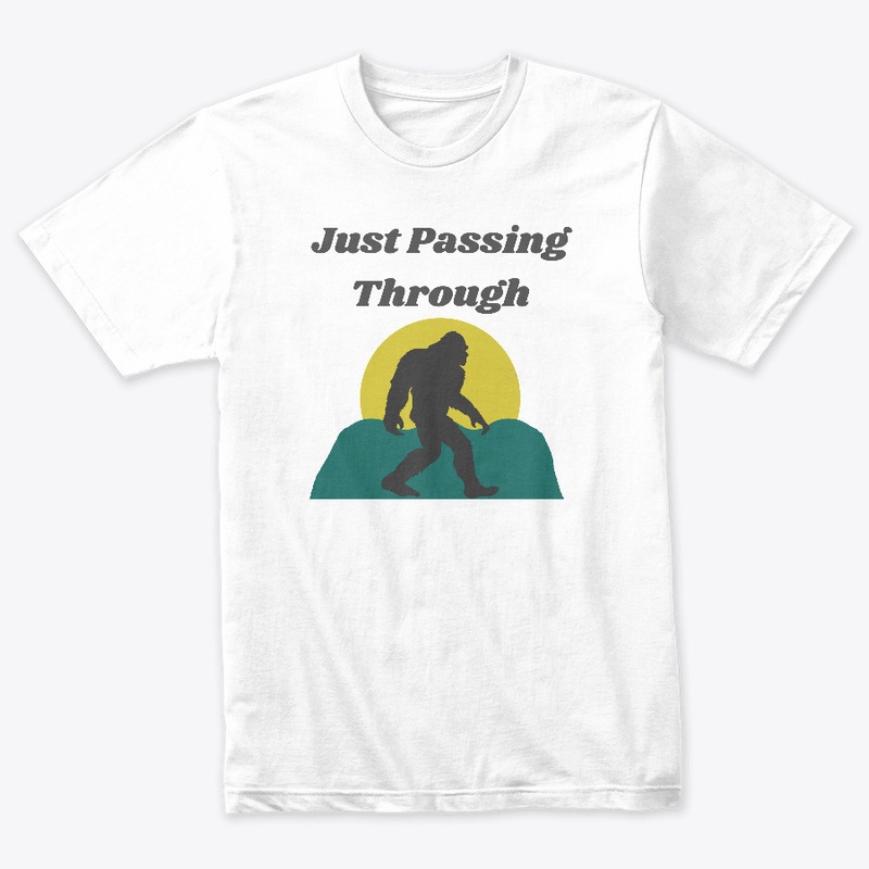 Just Passing Through