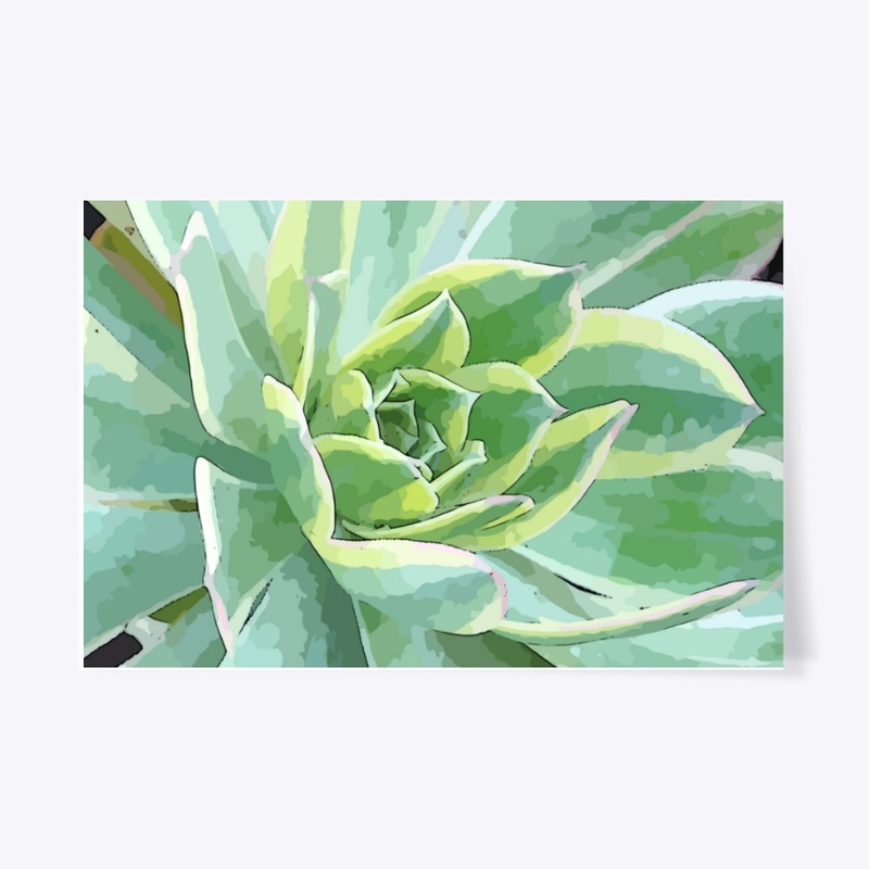 Serene Succulent