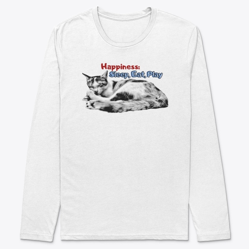 Meaning happiness 