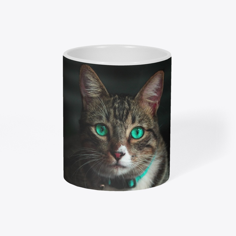 Cute Cat 