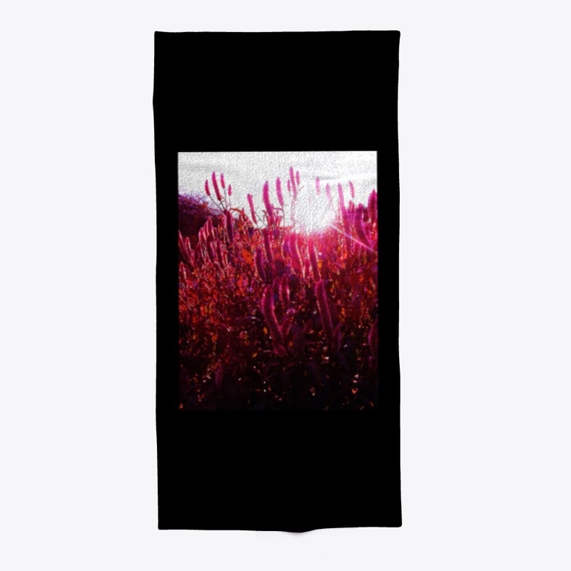 Pink Fountain Grass at Sunset