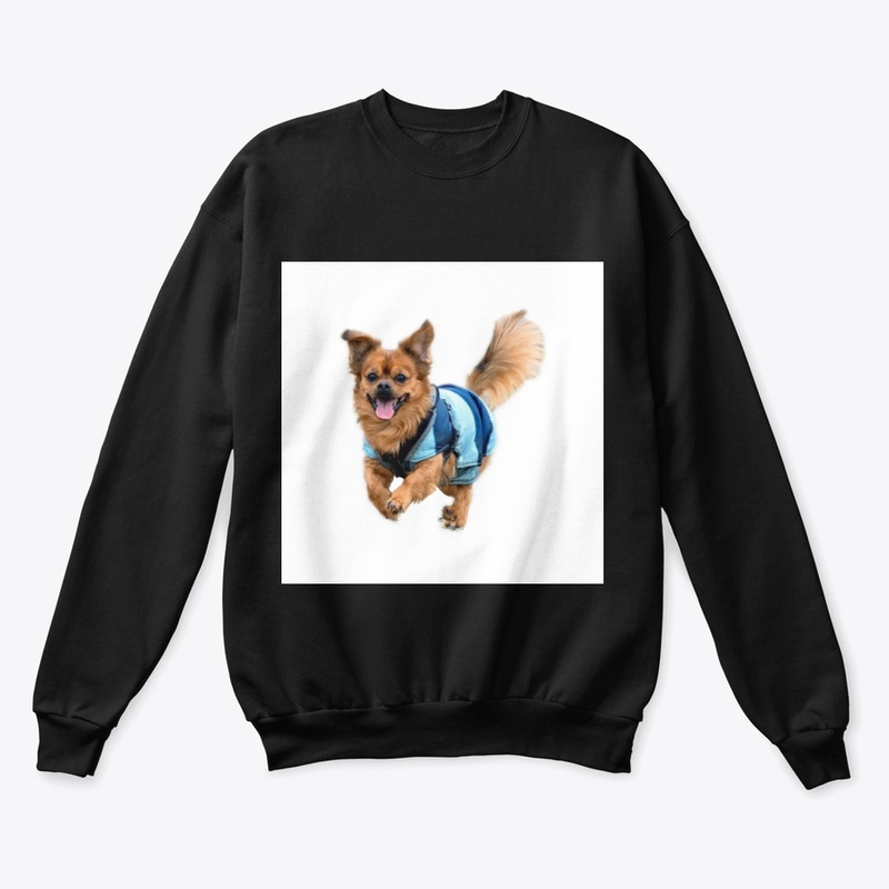 Classic Tee, Classic Crewneck