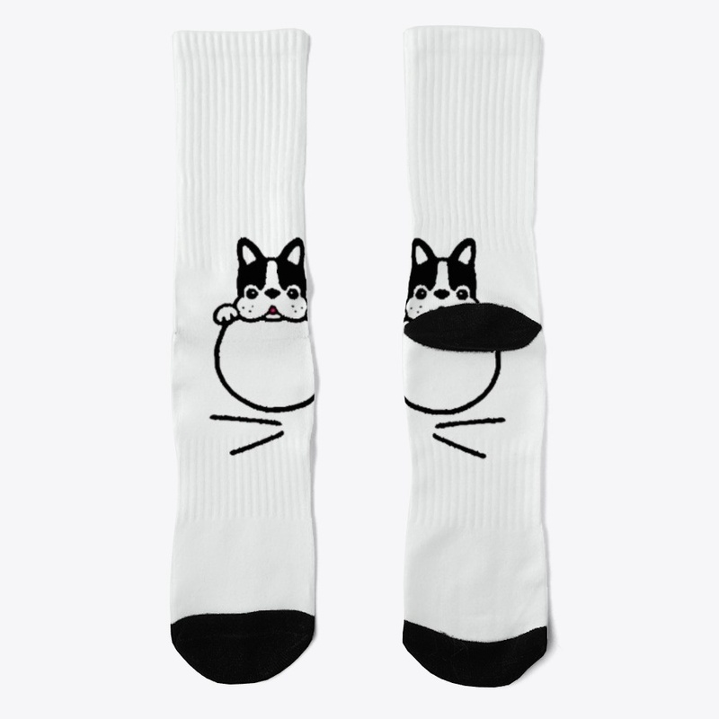 two Little Dog