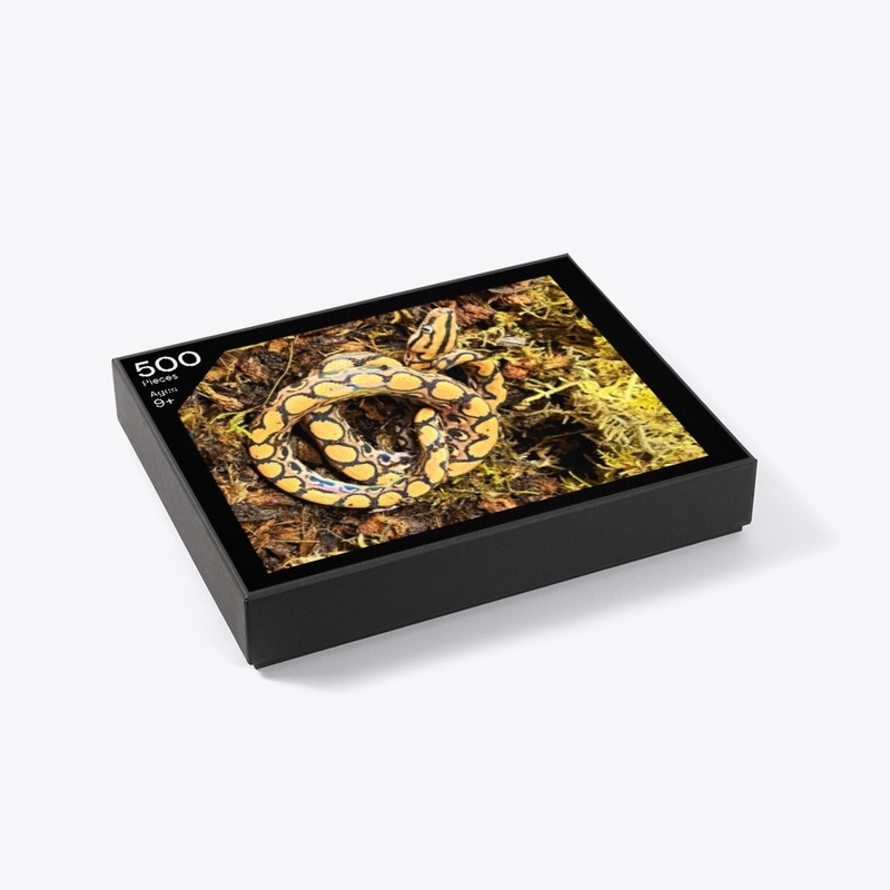 Brazilian Rainbow Boa Puzzle