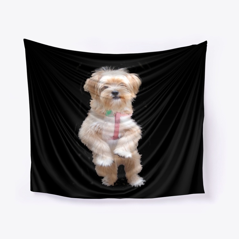 cute yorkie chihuahua puppy