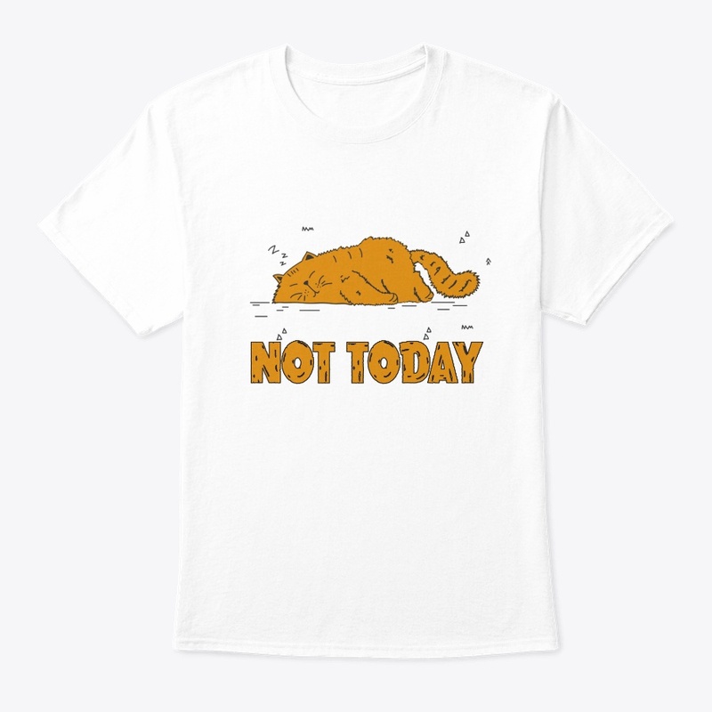 NO TODAY FUNNY CAT