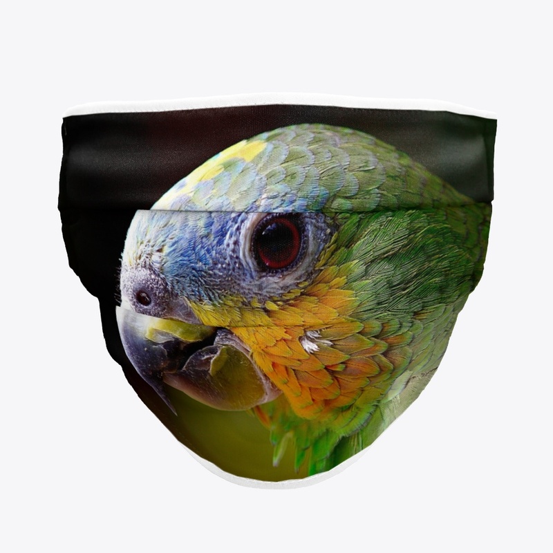 Parrot Macaw Bird Amazon Head