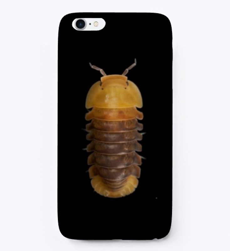 Isopod 