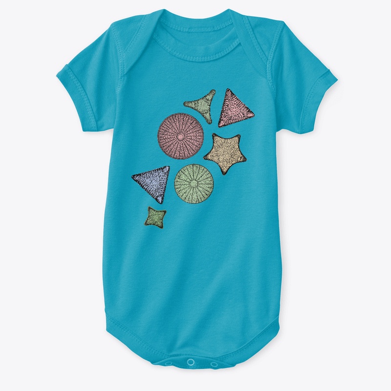 Diatom Marine Biology Art