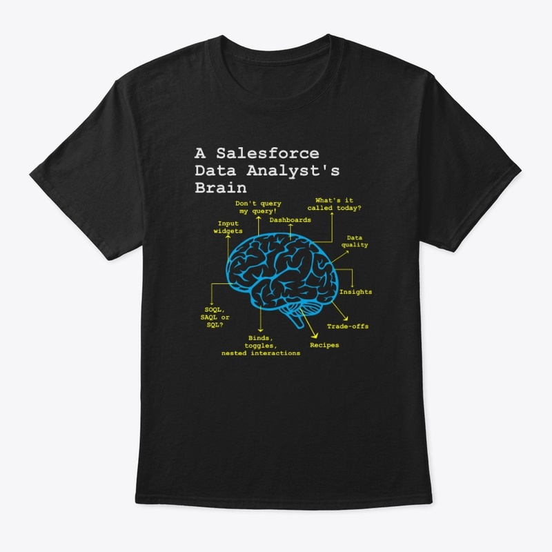 A Salesforce Data Analyst's Brain