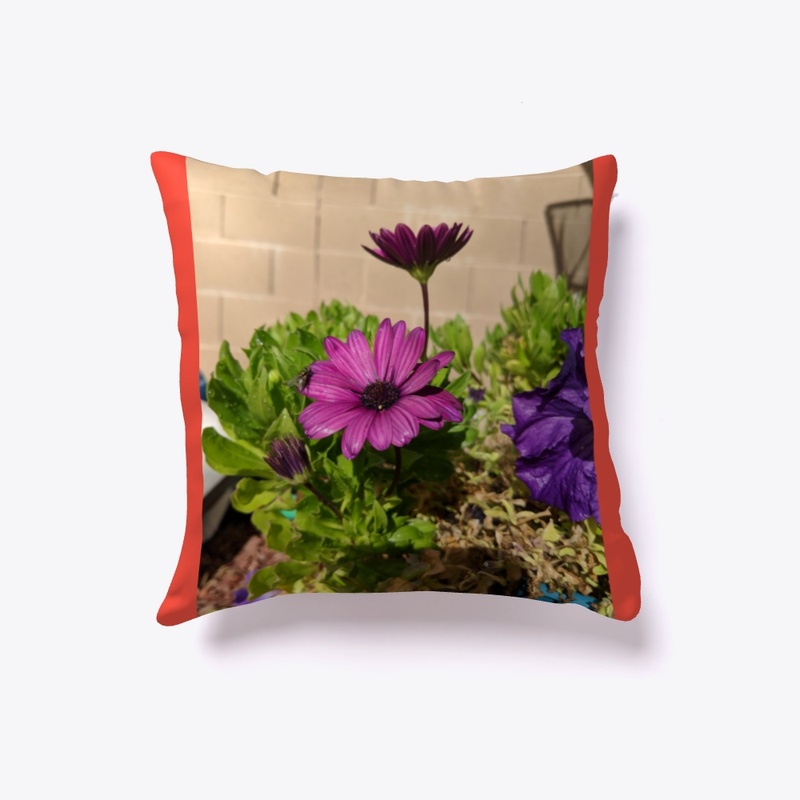 Purple daisy