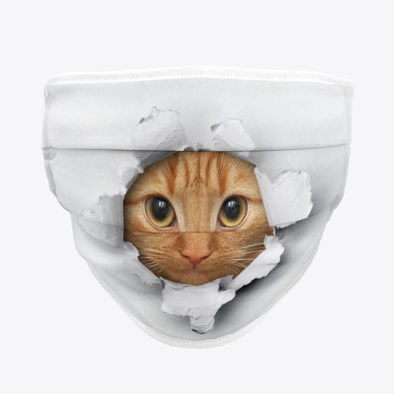 Funny cat face