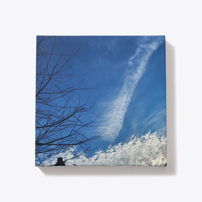 SKY SCAPES