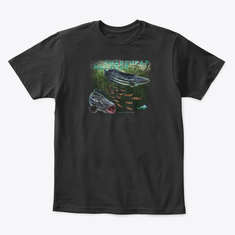 Malabar Snakehead