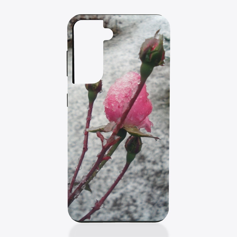 Winter rose