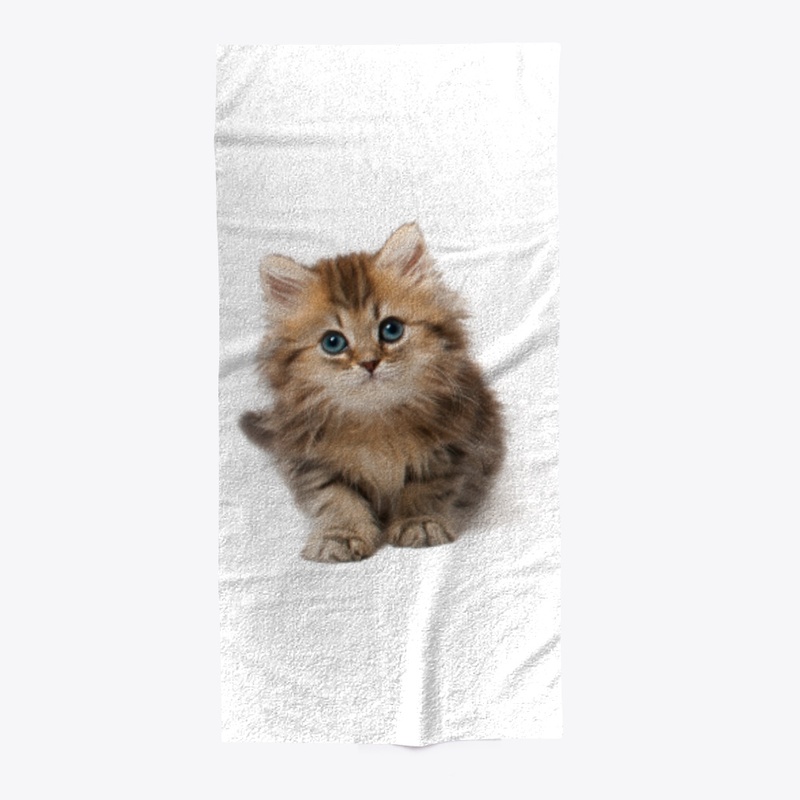 Kitten Tee Shirt