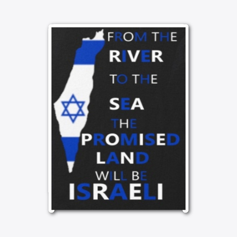 PRO ISRAELI SHIRT