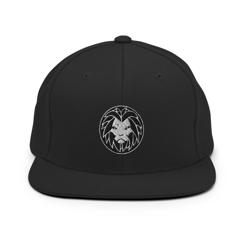 Lyons Art & Media Snapback
