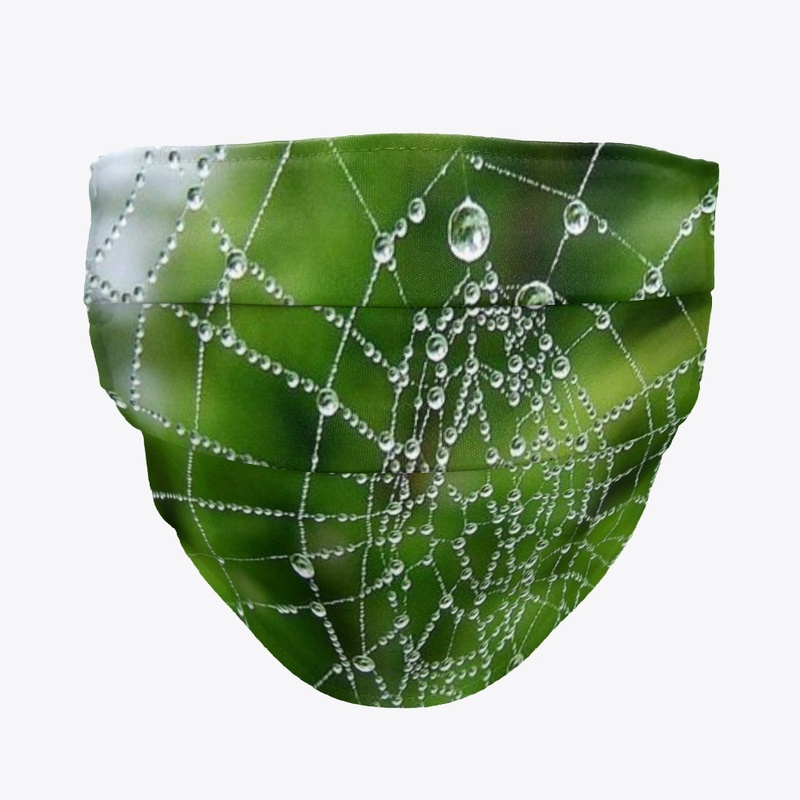 Spider Web With Drops Of Water design