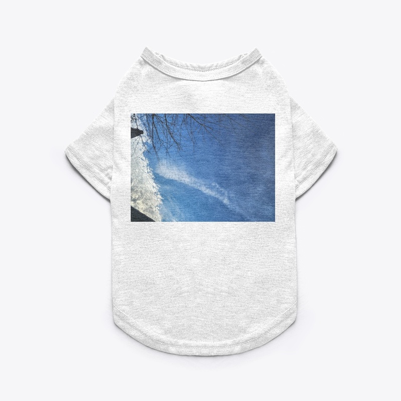 SKY SCAPES
